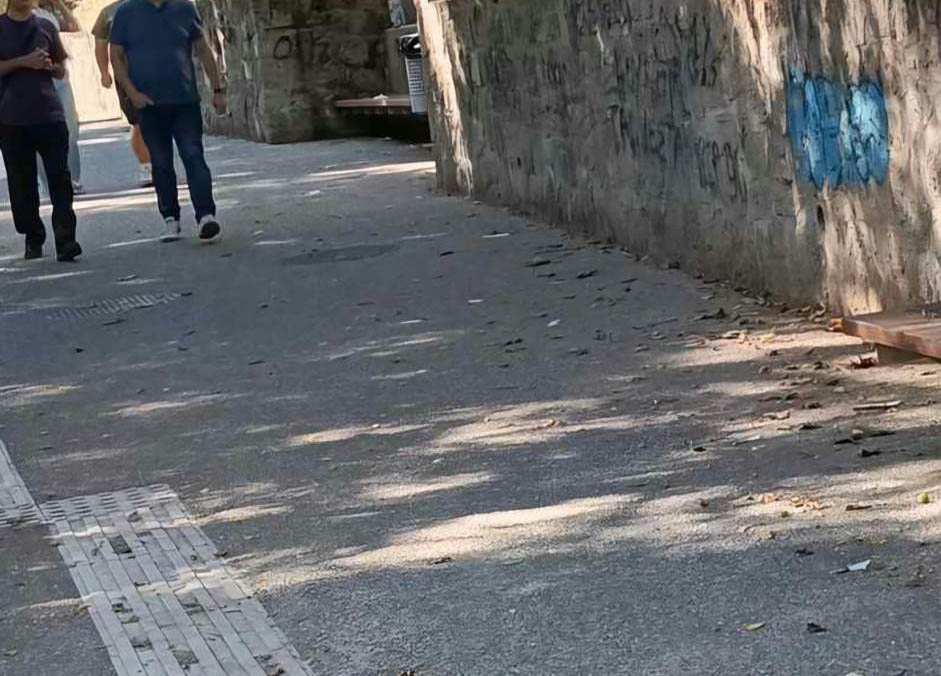 veria-barbouta_3.jpg