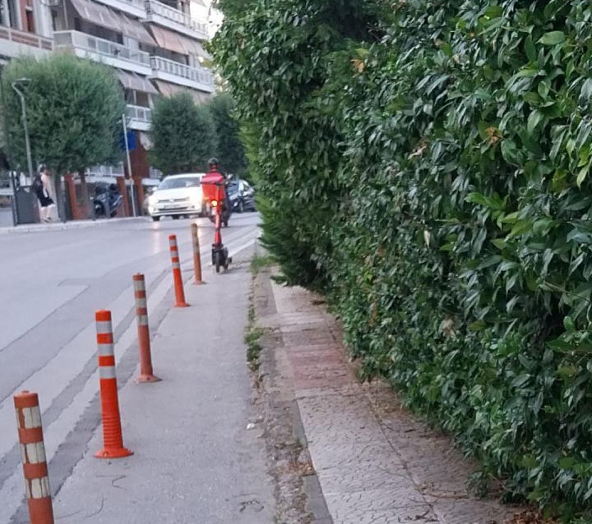 Βέροια: Κλαδιά δέντρου «κατάπιαν» το πεζοδρόμιο στη γωνία Πιερίων και Ανοίξεως