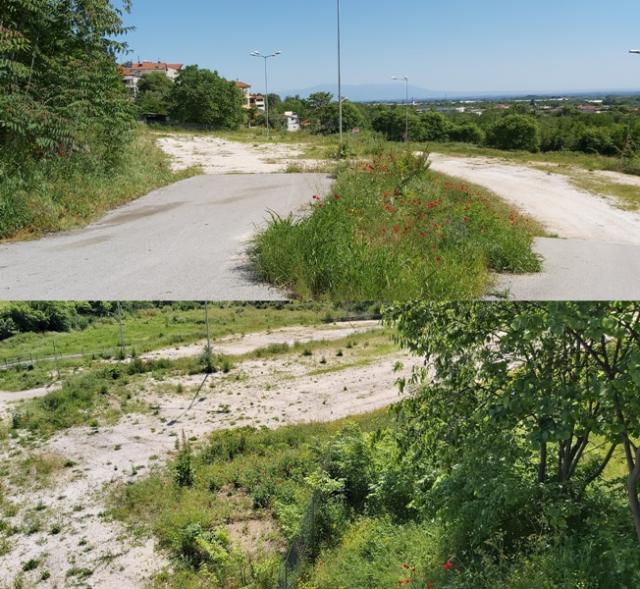 «Σπίτι της γυμναστικής» και παρκινγκ στην έκταση κάτω από την ελιά - Δεν υπάρχει χρονική πρόβλεψη!!!