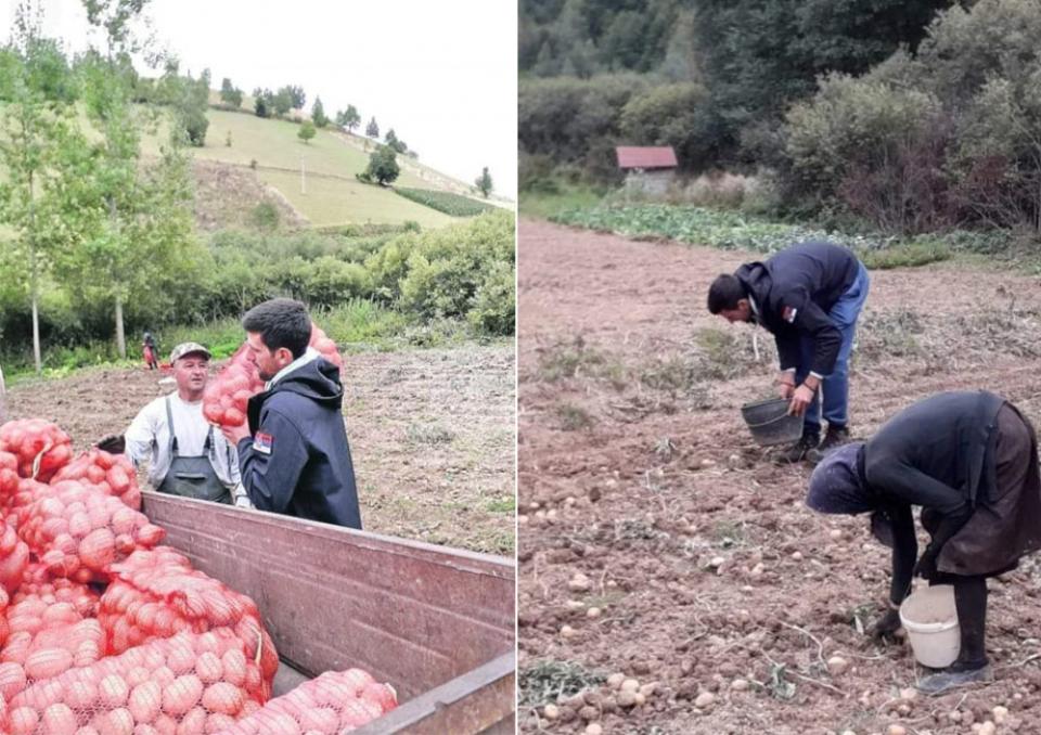 Το ανθρώπινο πρόσωπο του Τζόκοβιτς κέρδισε τους Έλληνες