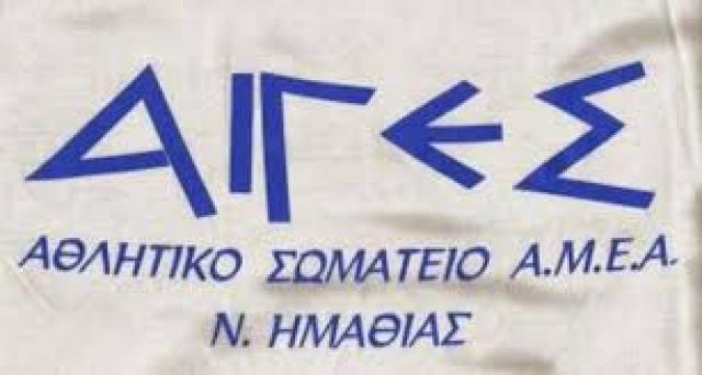 Το αθλητικό σωματείο ΑμεΑ Ημαθίας «ΑΙΓΕΣ» ζητάει εθελοντές