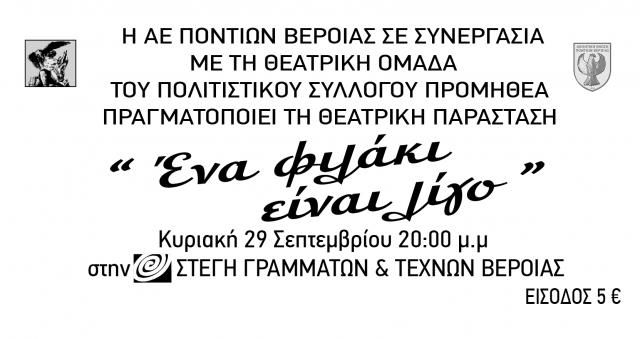 Η Α.Ε.Π. Βέροιας πάει ΘΕΑΤΡΟ!!!