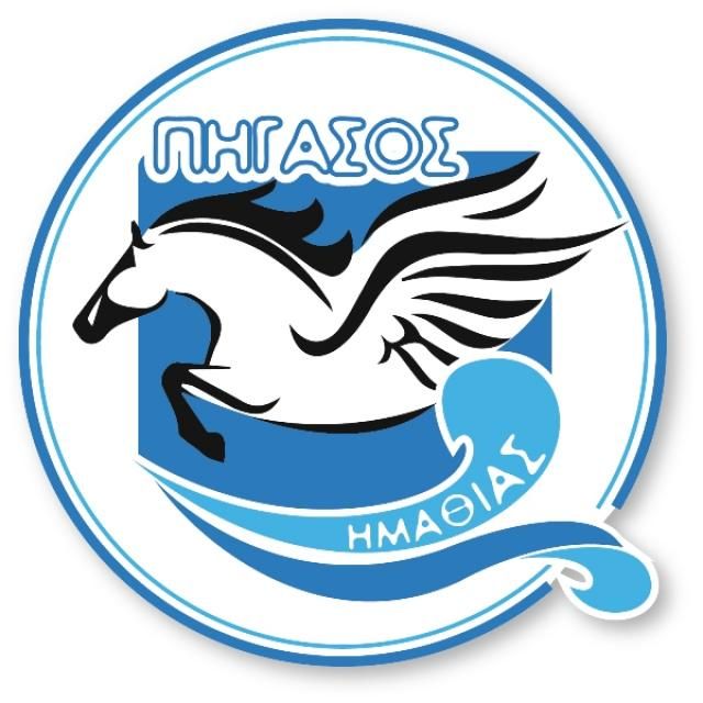 Δύσκολη η αρχή αλλά με θετικά αποτελέσματα για την αγωνιστική ομάδα του Πήγασου