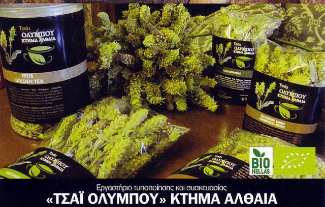 «Τσάι Ολύμπου»: Ένας θησαυρός υγείας - Ξενάγηση στο Κτήμα «Αλθαία» στο Ελατοχώρι (φωτο)
