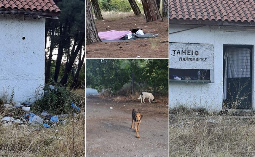 Άλσος Αλιάκμονα: Εικόνα εγκατάλειψης!