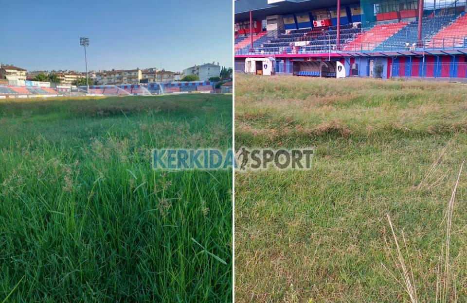 Θυμίζει… ζούγκλα το Δημοτικό στάδιο Βέροιας! (φωτο)
